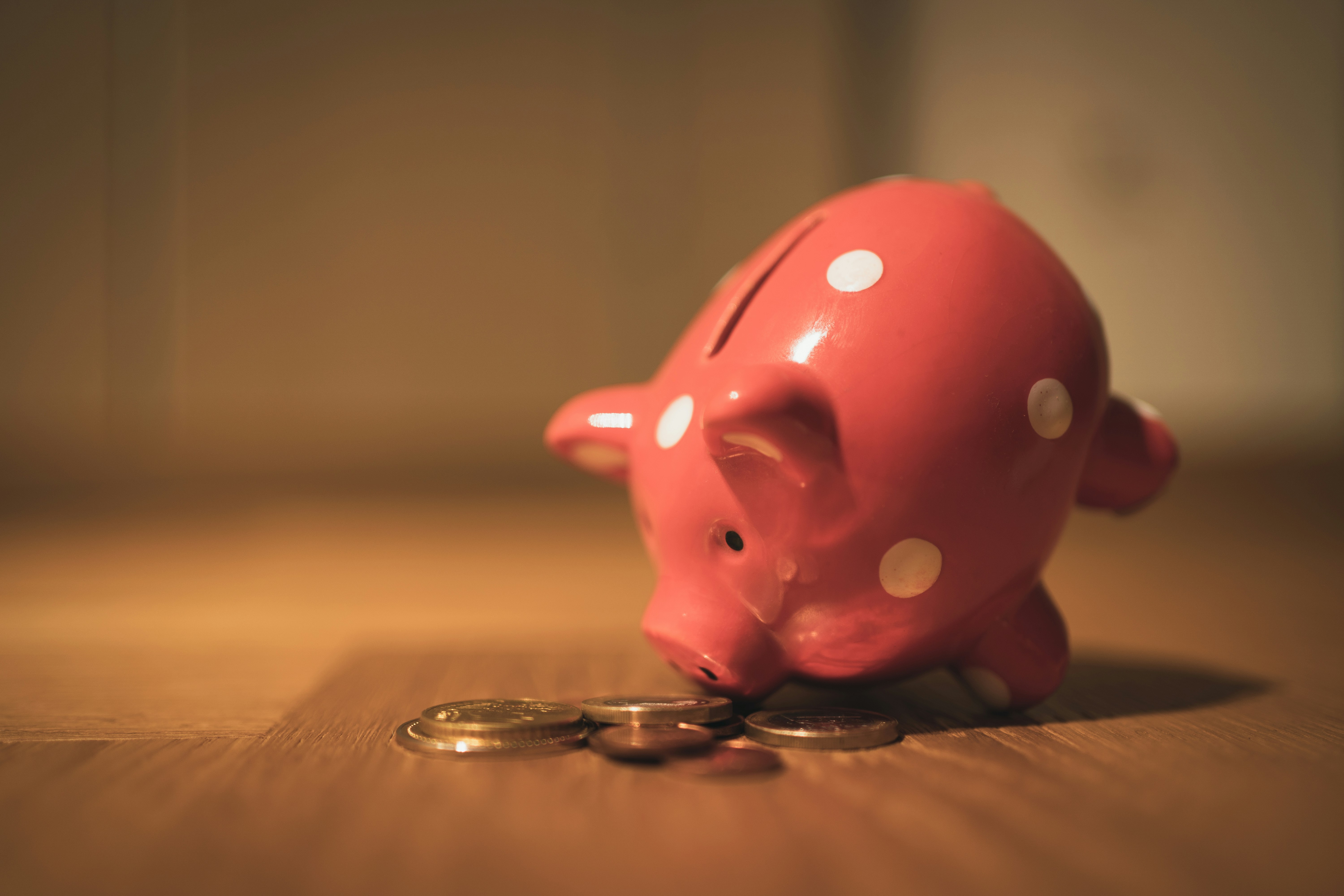 Piggy Bank Savings
